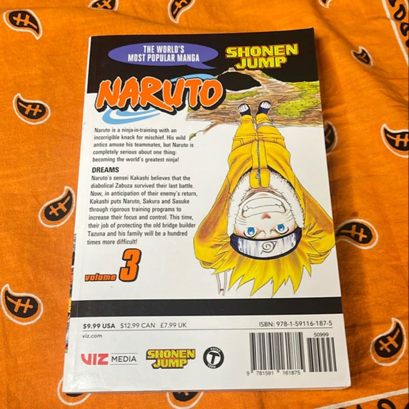 Naruto, Vol. 3