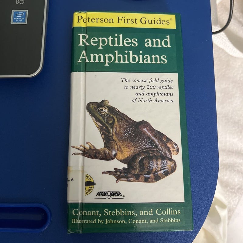 Peterson First Guide to Reptiles and Amphibians