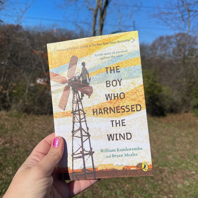 The Boy Who Harnessed the Wind