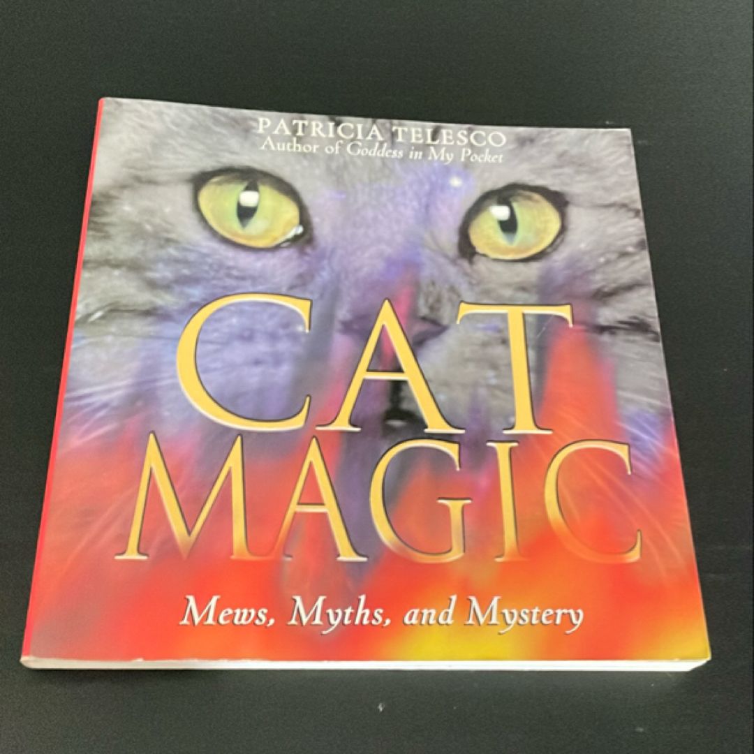 Cat Magic