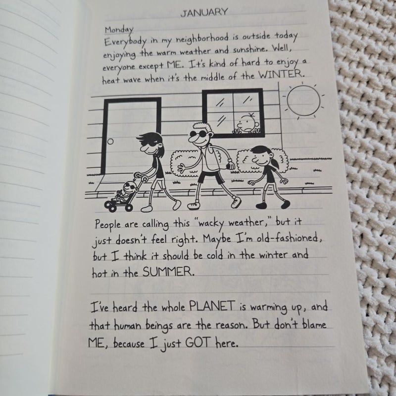 Diary of a Wimpy Kid #13: Meltdown