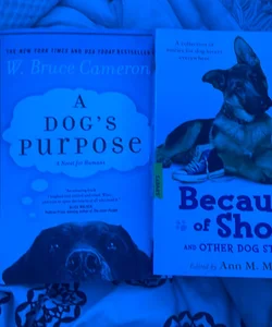 A Dog's Purpose and because of shoe