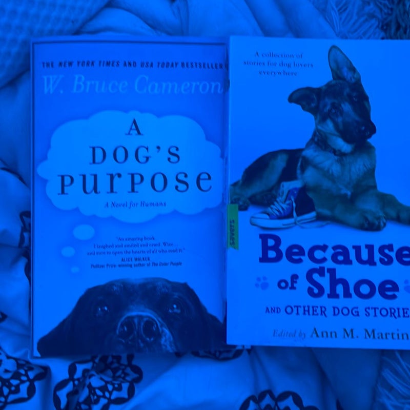 A Dog's Purpose and because of shoe