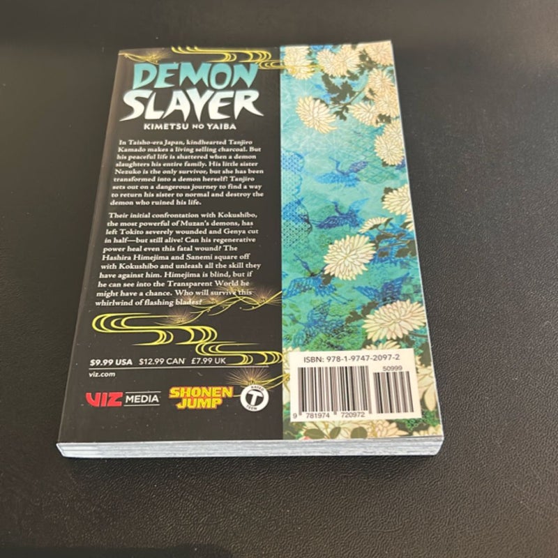 Demon Slayer: Kimetsu No Yaiba, Vol. 20