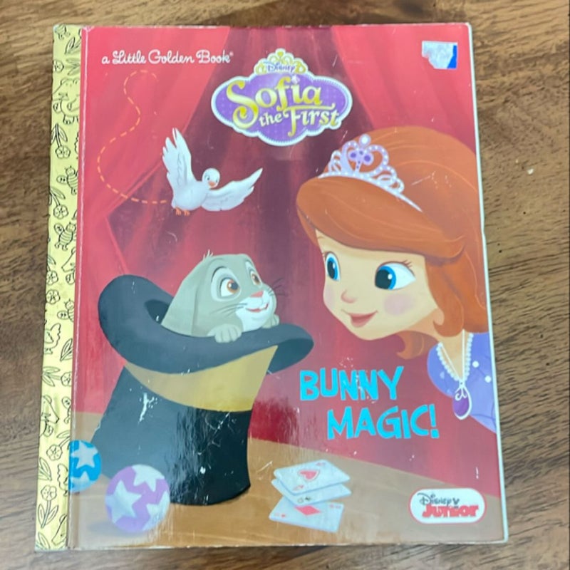 Bunny Magic! (Disney Junior: Sofia the First)