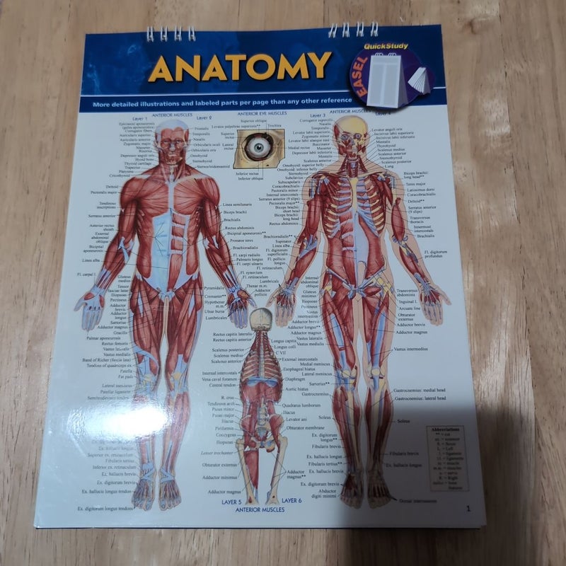 Anatomy Easel Book