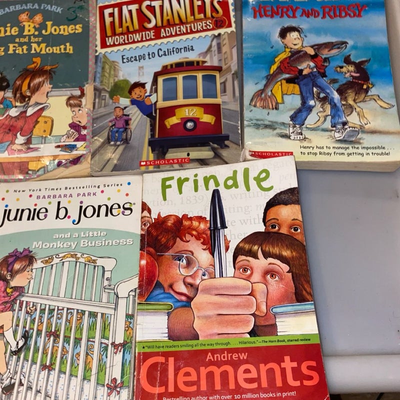 Julie B Jones and Flat Stanley Kids Book bundle