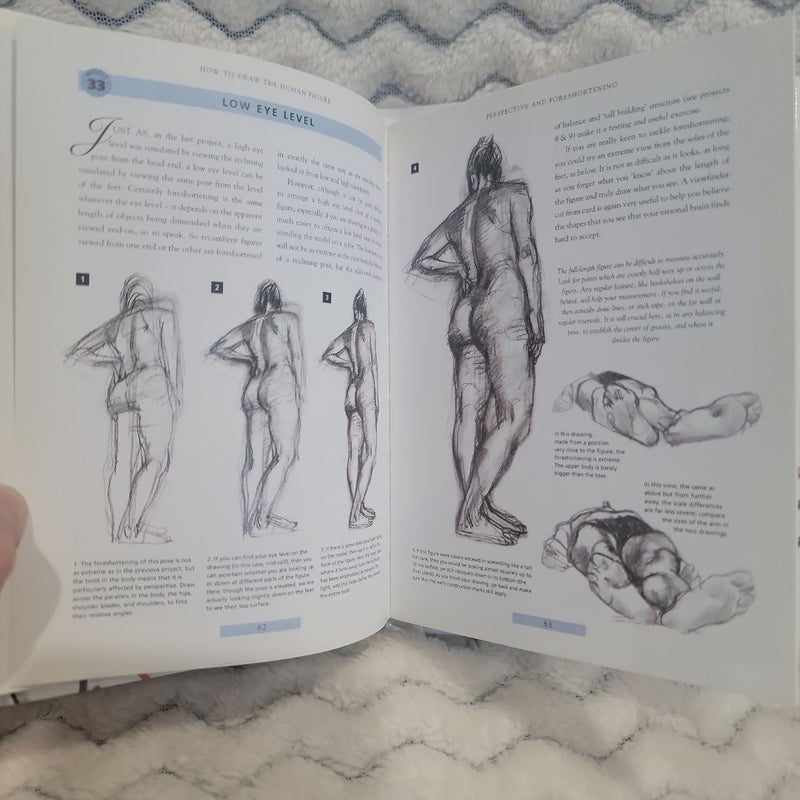 How To Draw The Human Figure.