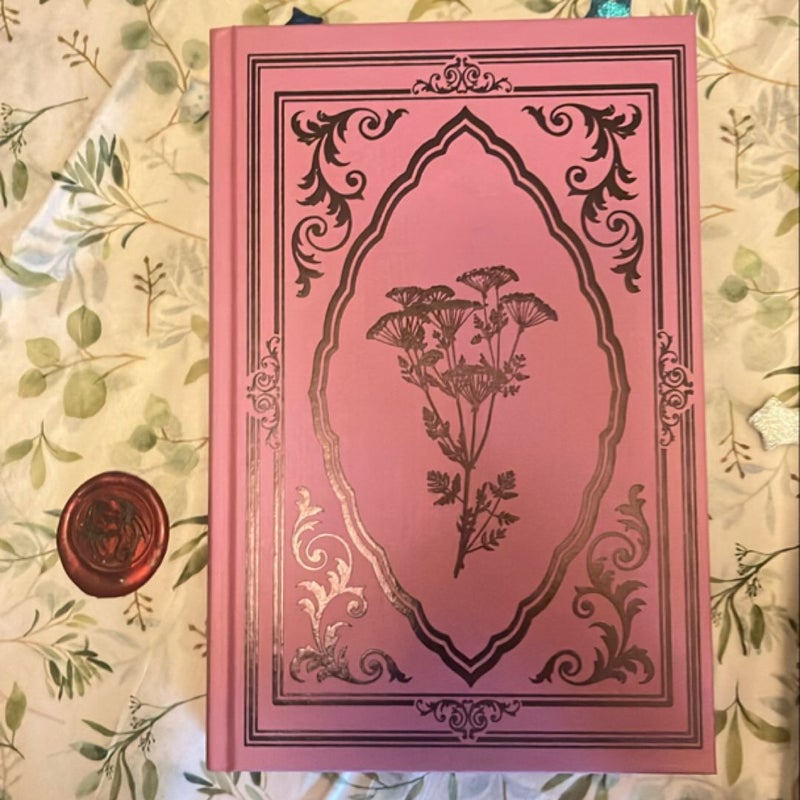 The Darkness Within Us - fairyloot edition 