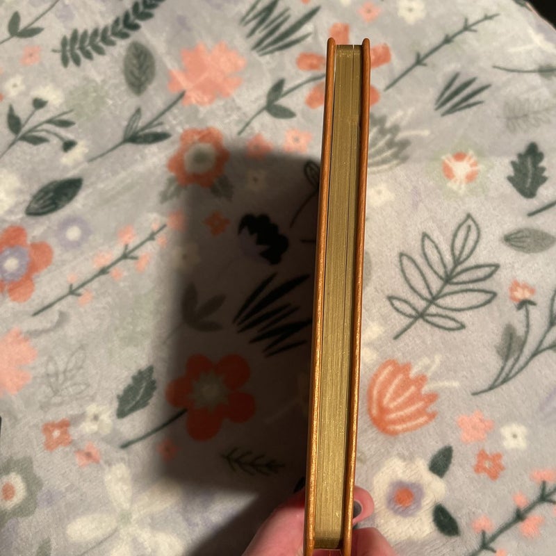 Fairyloot Journal