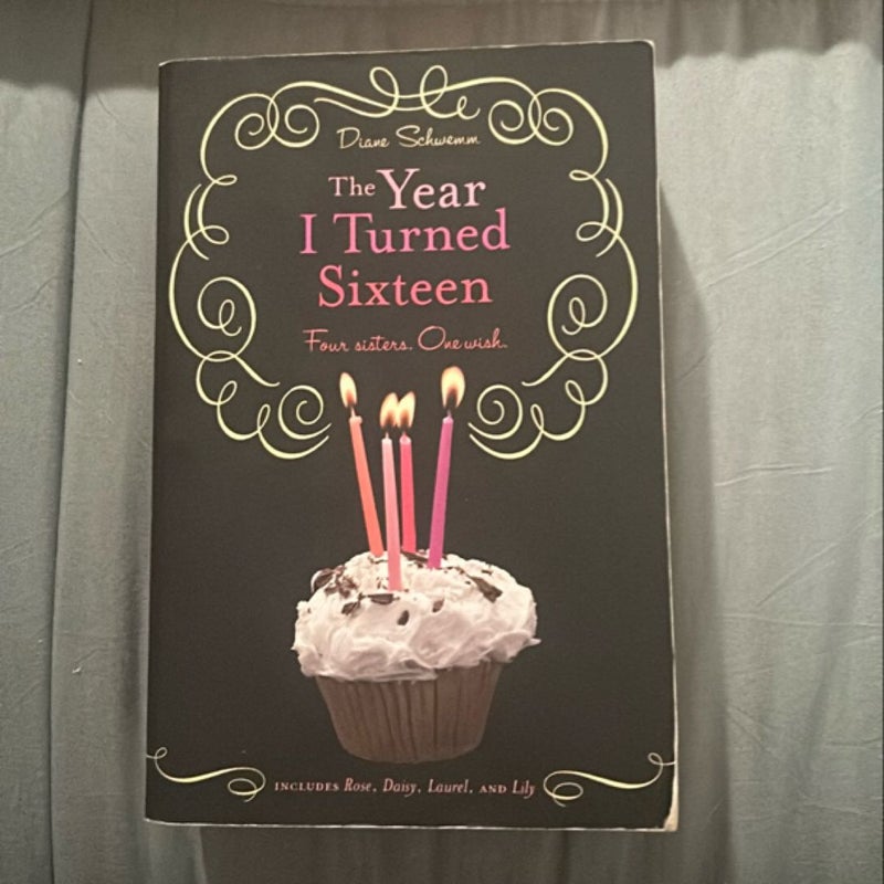 The Year I Turned Sixteen