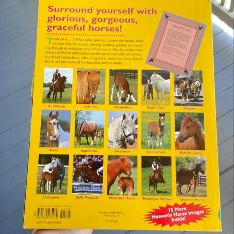 The Horse Breeds Poster Book