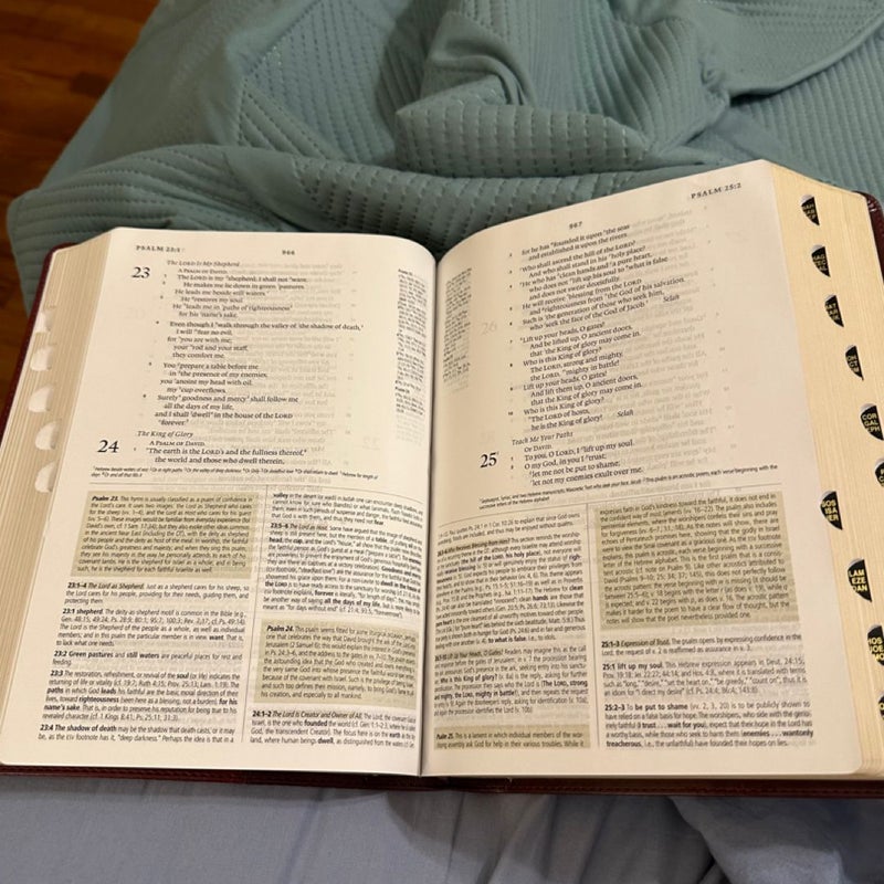 ESV Study Bible