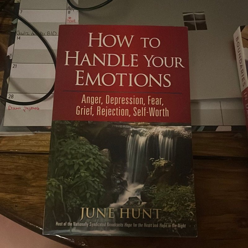 How to Handle Your Emotions