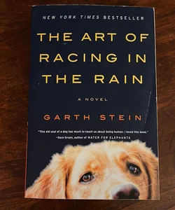 The Art of Racing in the Rain