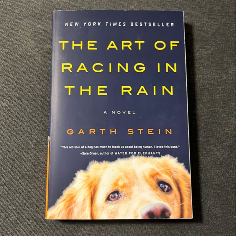 The Art of Racing in the Rain
