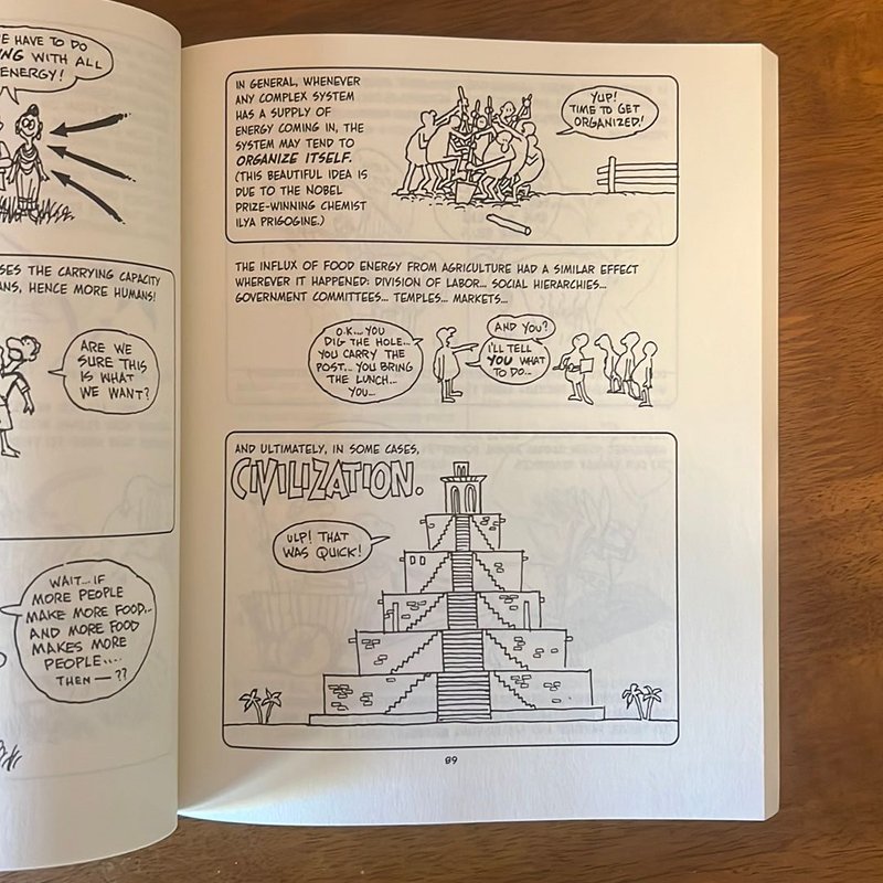 The Cartoon Guide To The Environment - Fun Educational Paperback Book (Used - Good)
