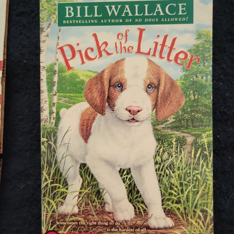 Pick of the Litter