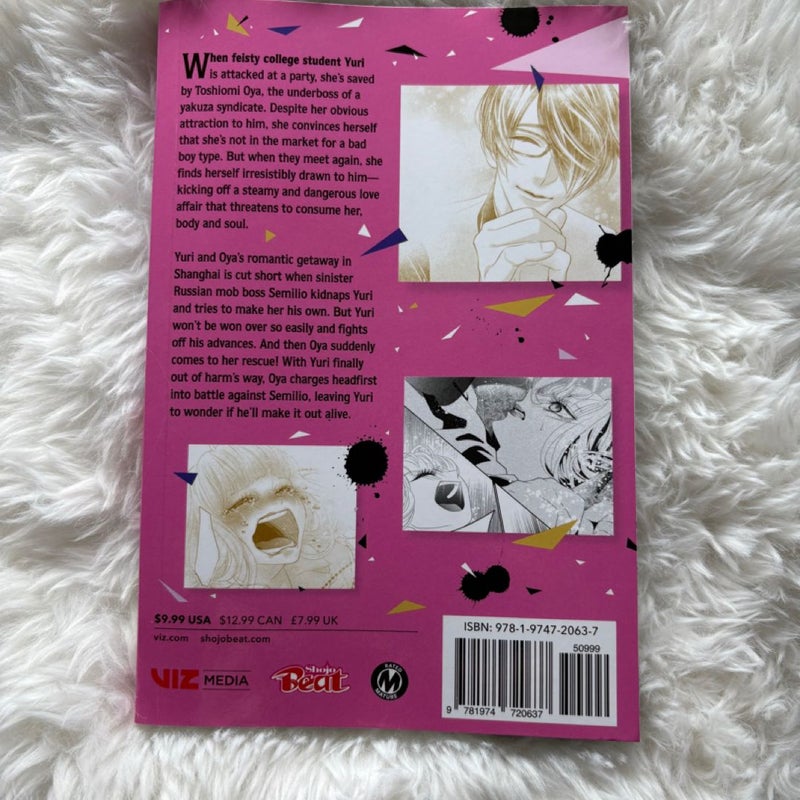 Two Paperbacks: Yakuza Lover, Vol. 1 & Vol. 2
