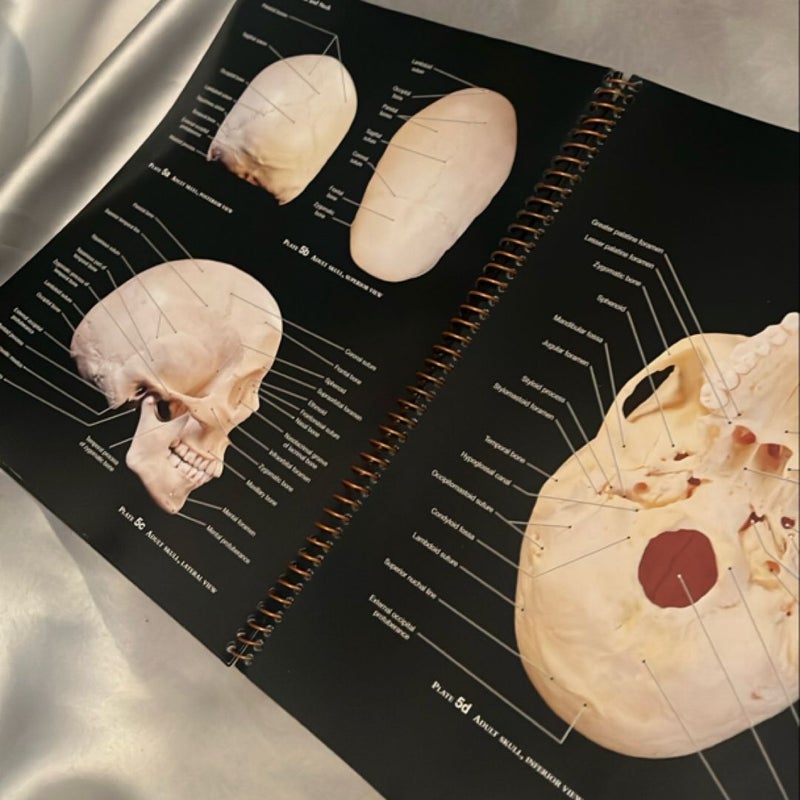 Martini's Atlas of the Human Body for Fundamentals of Anatomy and Physiology (component)