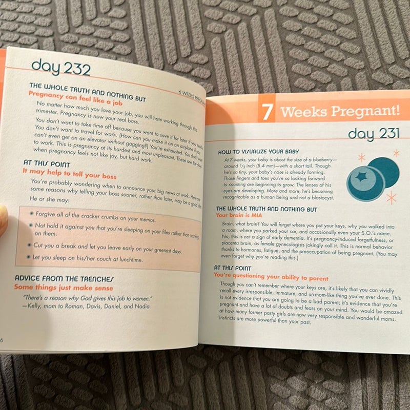 The Pregnancy Countdown Book