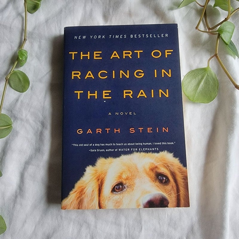 The Art of Racing in the Rain