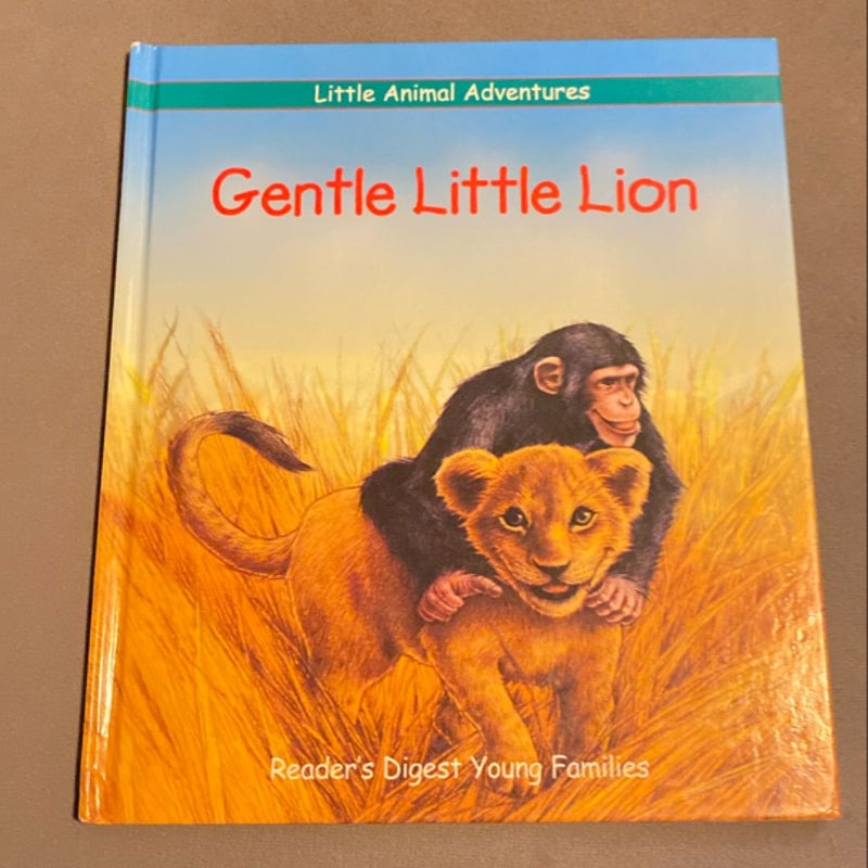 Gentle Little Lion