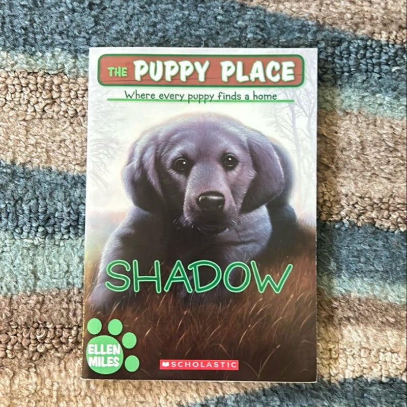 Shadow