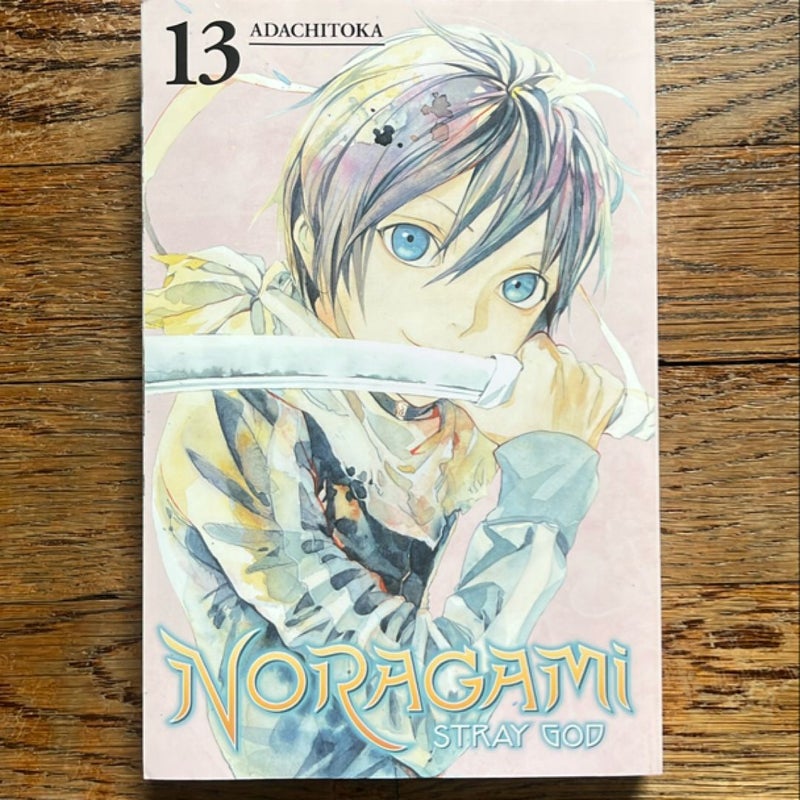 Noragami: Stray God 13