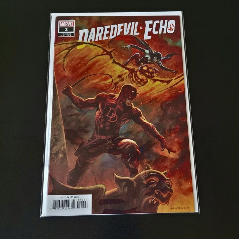 Daredevil & Echo #2