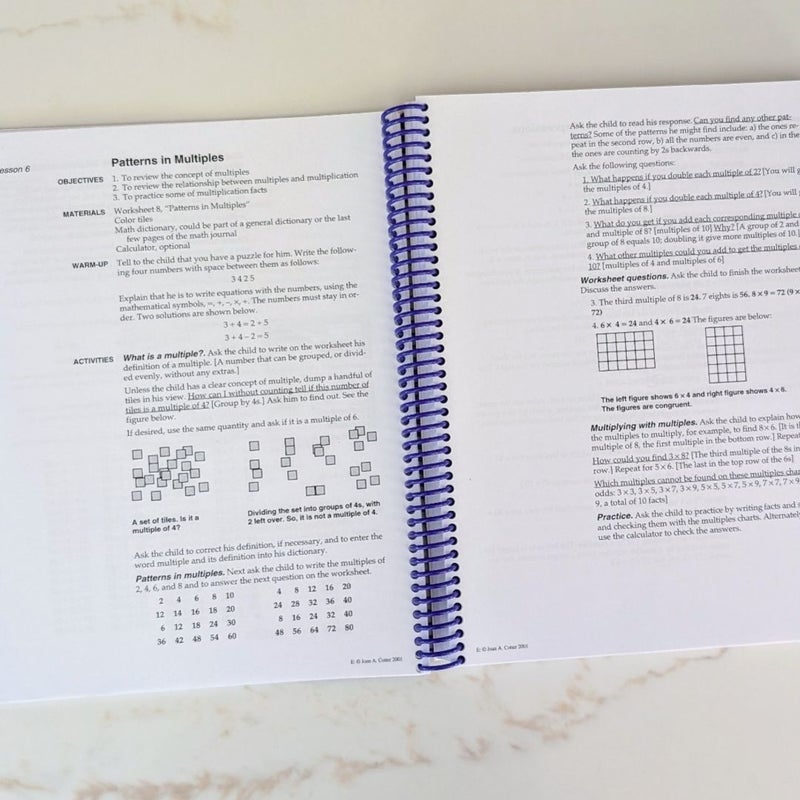 RightStart Mathematics Level E Lessons (June 2010)