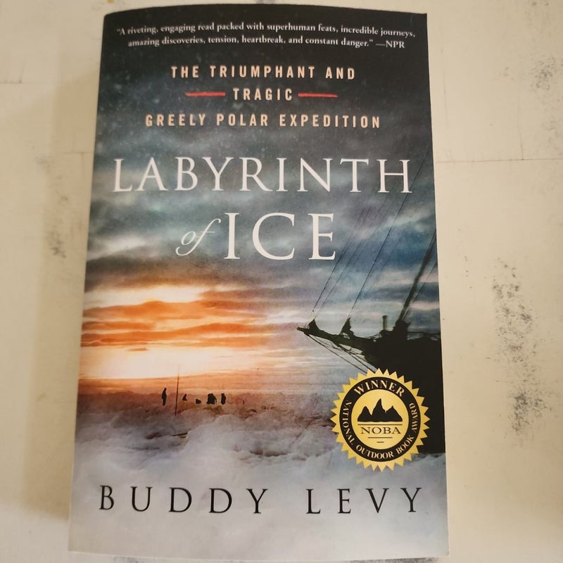 Labyrinth of Ice