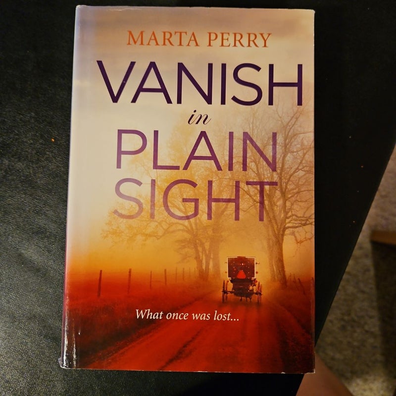 Vanish In Plain Sight