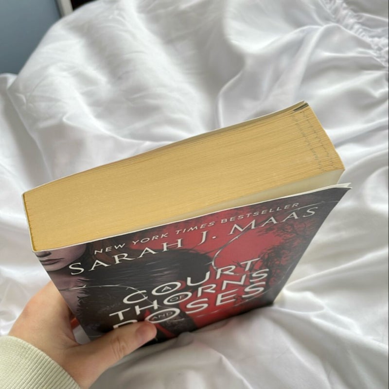 A Court of Thorns and Roses original paperback cover OOP