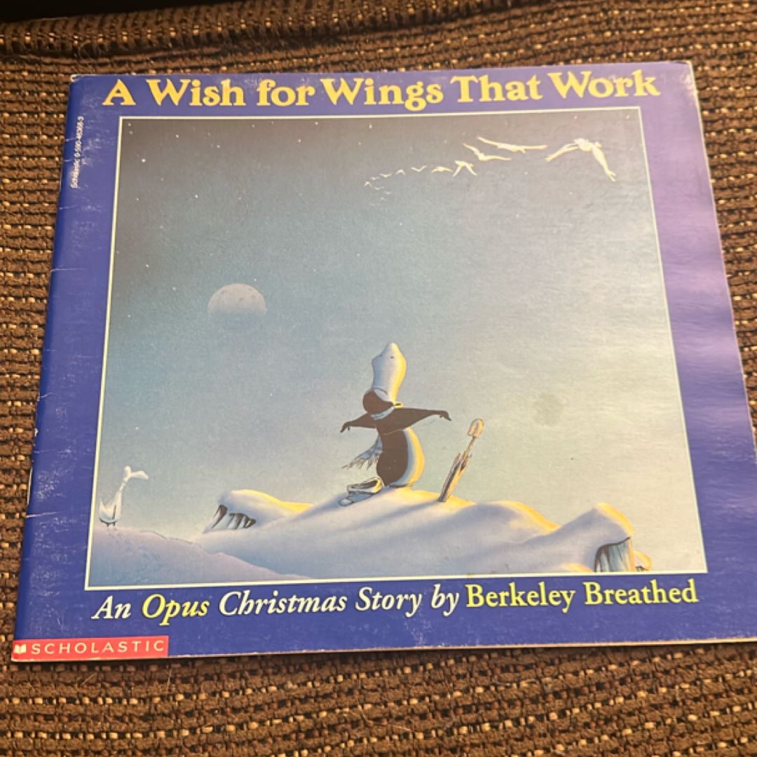 A Wish for Wings That Work