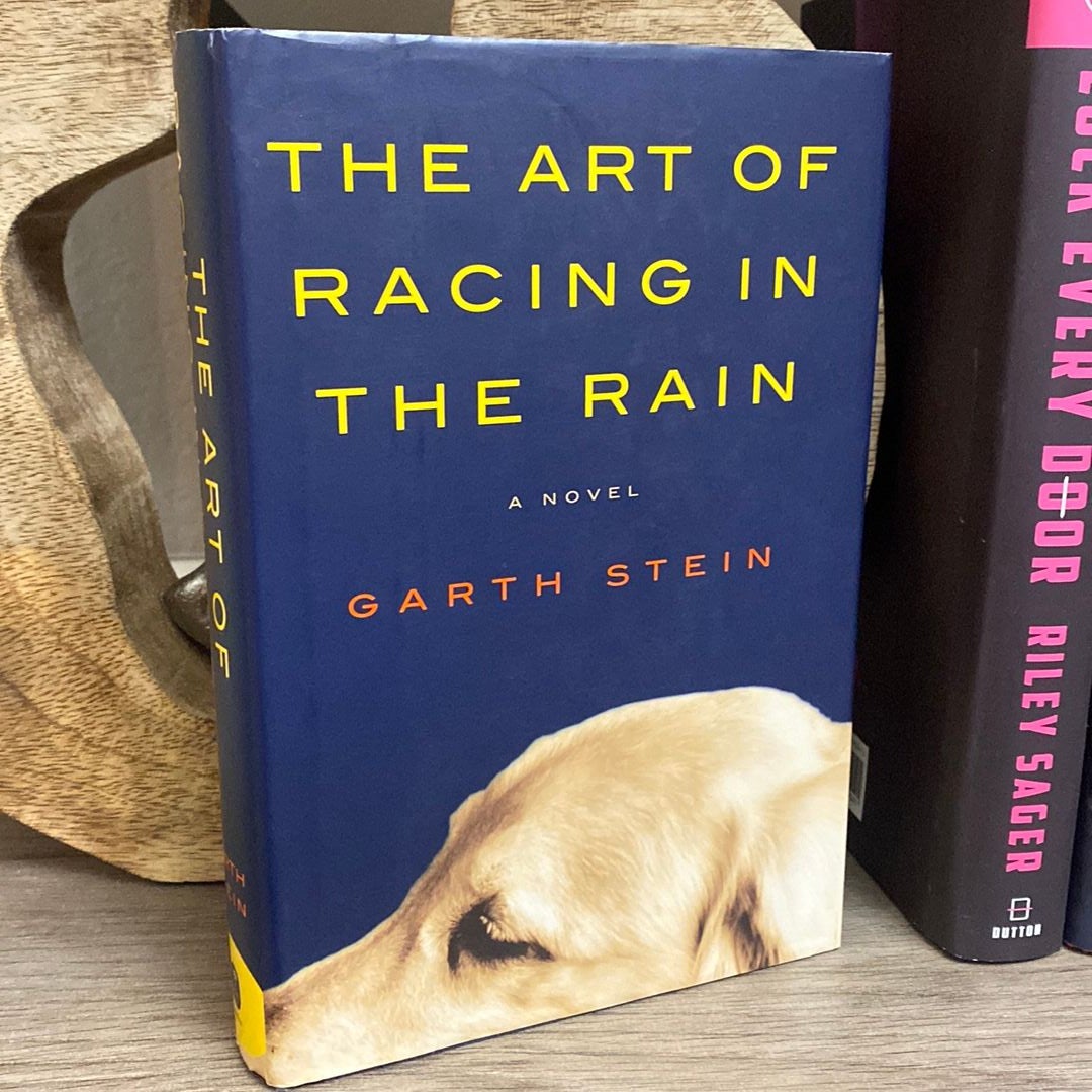 The Art of Racing in the Rain