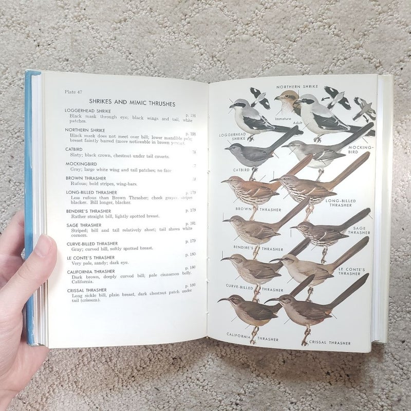 A Field Guide to Western Birds (Houghton Mifflin Edition, 1961)