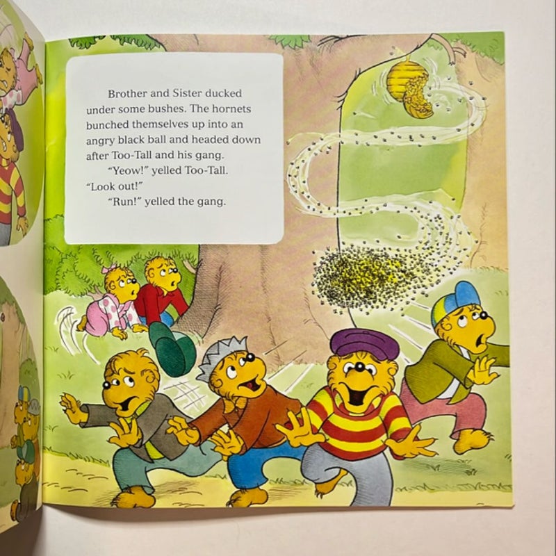 Berenstain Bears and the Gift of Courage