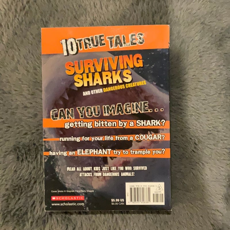 Surviving Sharks (10 True Tales)