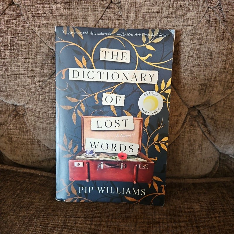 The Dictionary of Lost Words