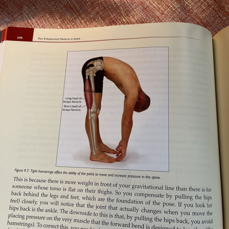 Functional Anatomy of Yoga