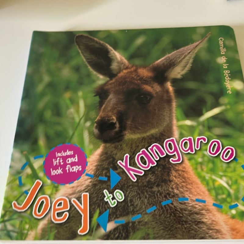 Joey to kangaroo