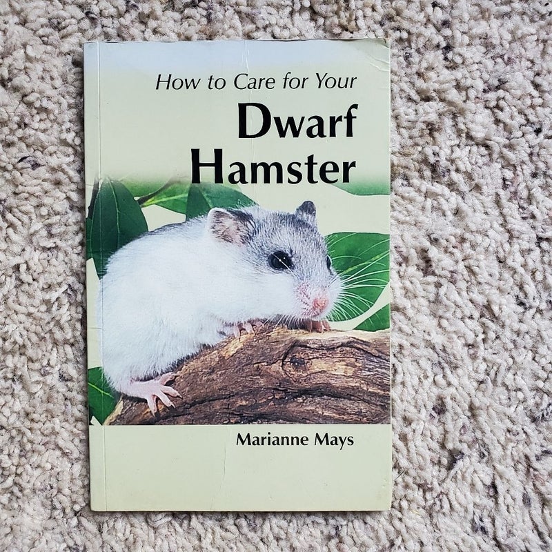 How to Care for Your Dwarf Hamster