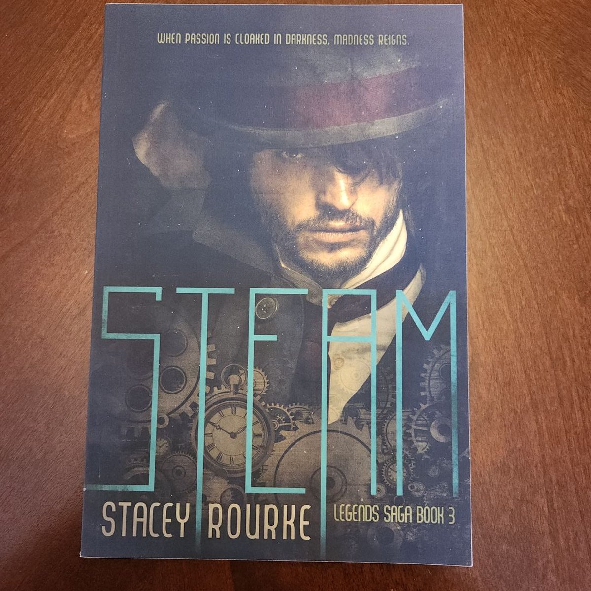 Steam by stacey rourke paperback pangobooks