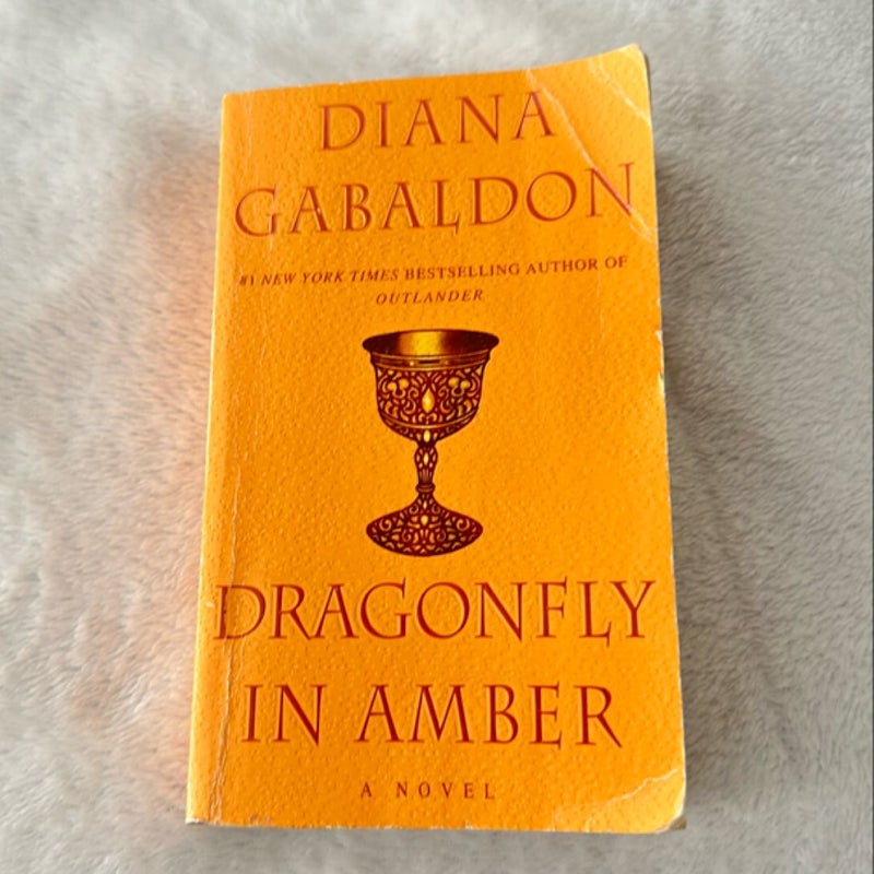 Dragonfly in Amber