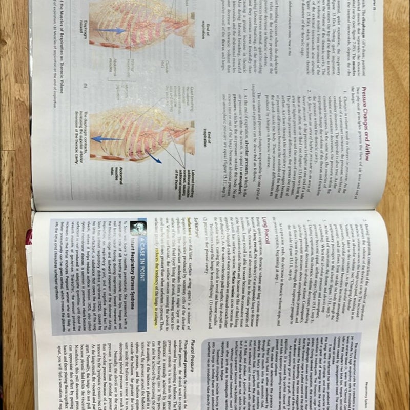 Seeley's Essentials of Anatomy and Physiology