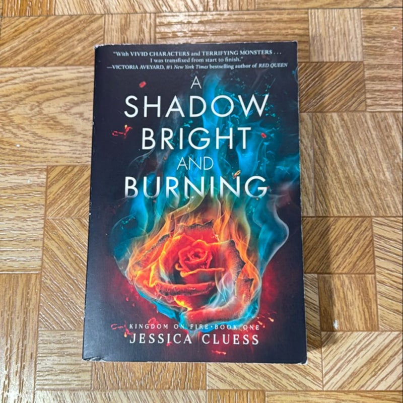 A Shadow Bright and Burning (Kingdom on Fire, Book One)