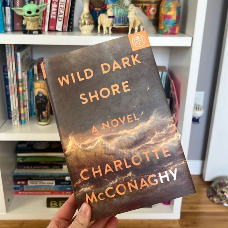 Wild Dark Shore