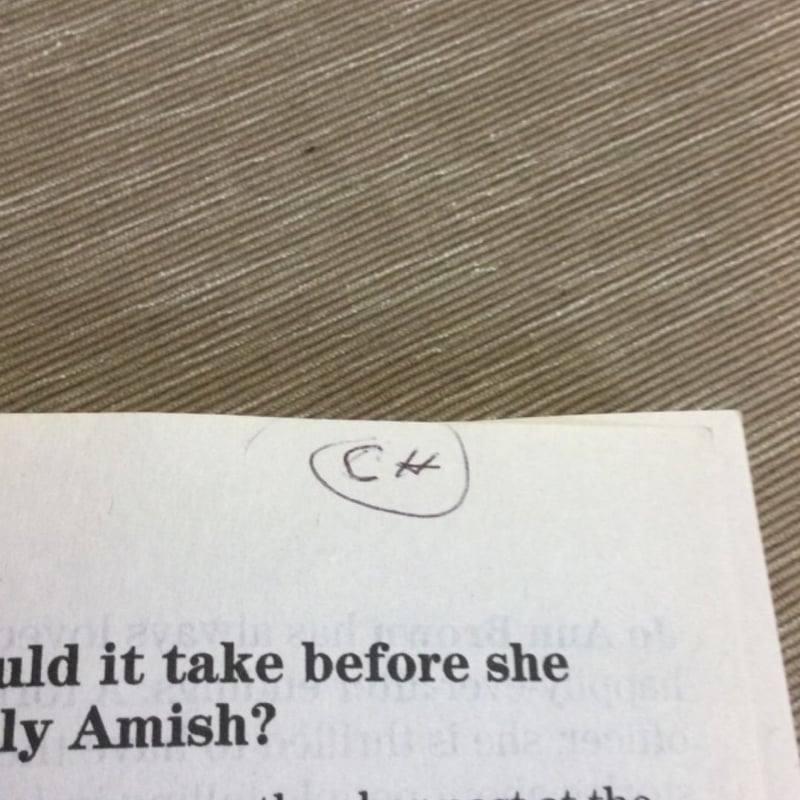 An Amish Mother's Secret Past