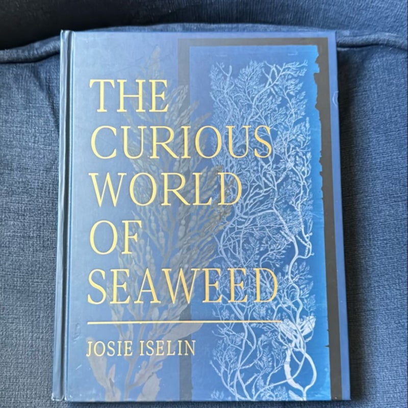 The Curious World of Seaweed